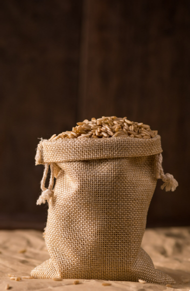 Como armazenar grãos e cereais para distribuição: boas práticas, riscos e cuidados por tipo de cultura