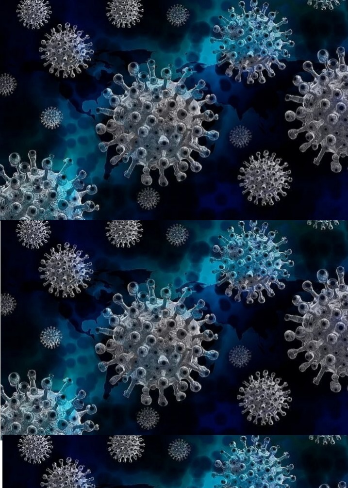 Vírus Nipah: tudo o que as empresas precisam saber sobre o vírus 