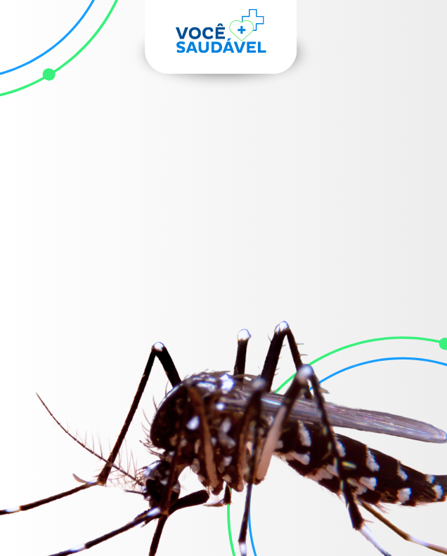 ARBOVIROSES: DENGUE, CHIKUNGUNYA E ZIKA